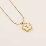 Gold color / 1 Piece Simple Series Daily Letter Y Stainless Steel  Gold Color Shell Women's Pendant Necklaces Picture25